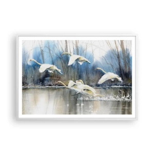 Poster in einem weißen Rahmen - Wie im Märchen von den wilden Schwänen - 100x70 cm