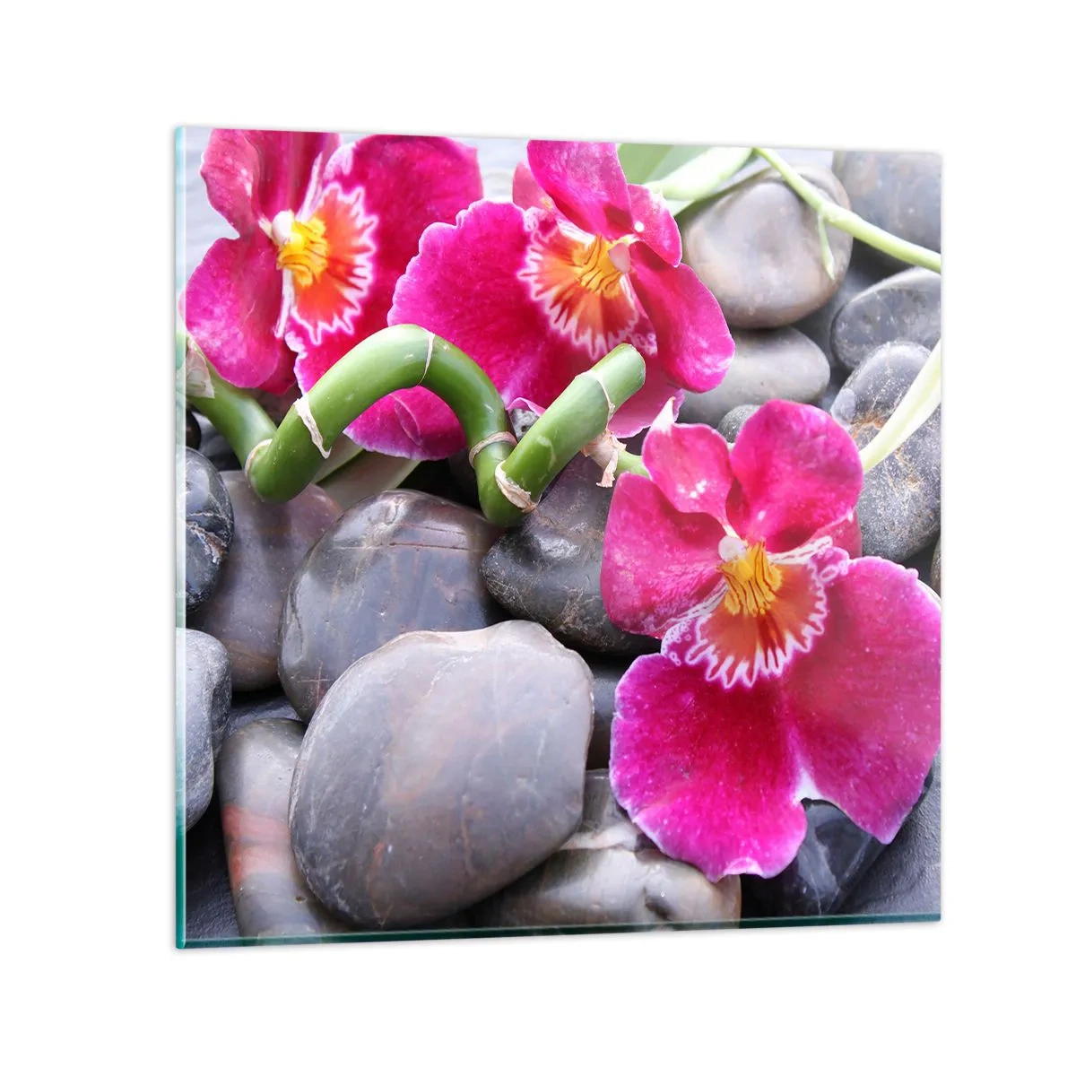 Glasbild - Bild auf glas - Kühlen und erhitzen - 40x40 cm