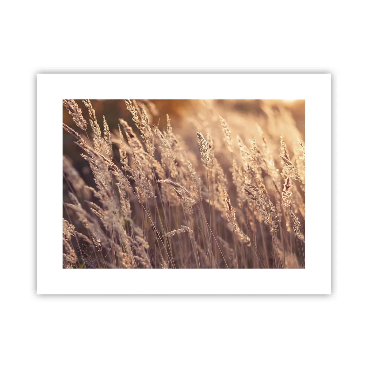 Poster - Bereit, den Herbst willkommen zu heißen - 40x30 cm