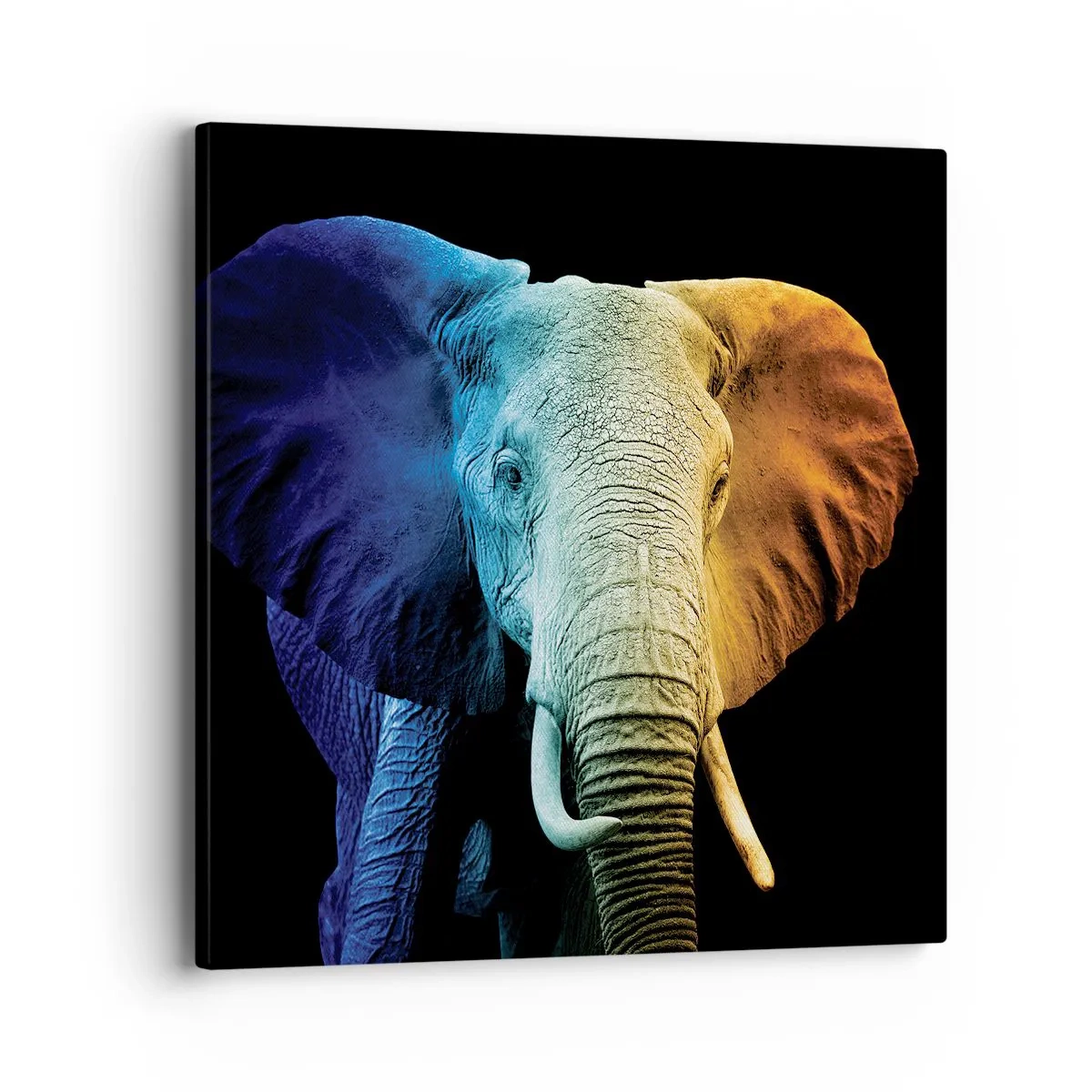 Bild auf Leinwand - Leinwandbild - Exzentrisch, kein Verrückter - 40x40 cm