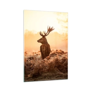 Glasbild - Bild auf glas - Hirsch in den Strahlen der aufgehenden Sonne - 70x100cm - Herr im eigenen Land - Moderne Wanddekoration für Wohnzimmer und Schlafzimmer ARTTOR