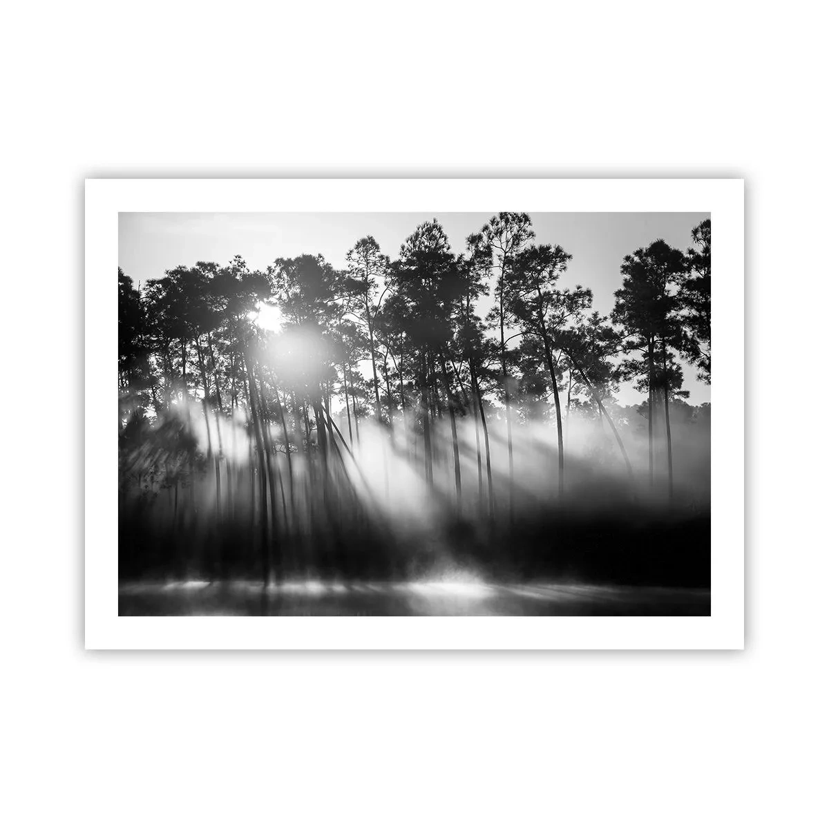 Poster - Unaufhaltsame Sonne - 70x50 cm