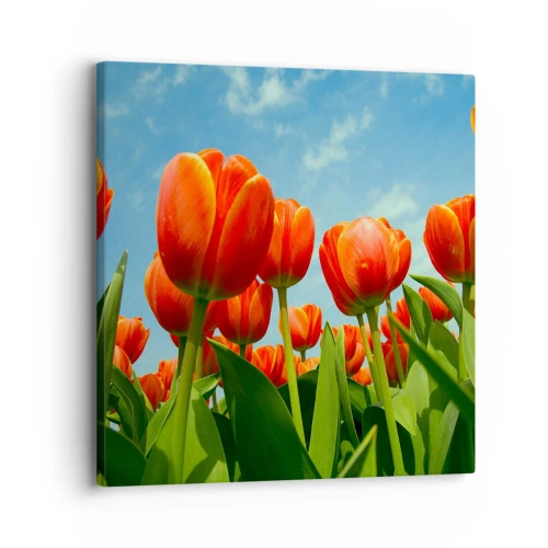 Bild auf Leinwand - Leinwandbild - Außer dem blauen Himmel brauchen sie nichts in ihrem Leben - 30x30 cm