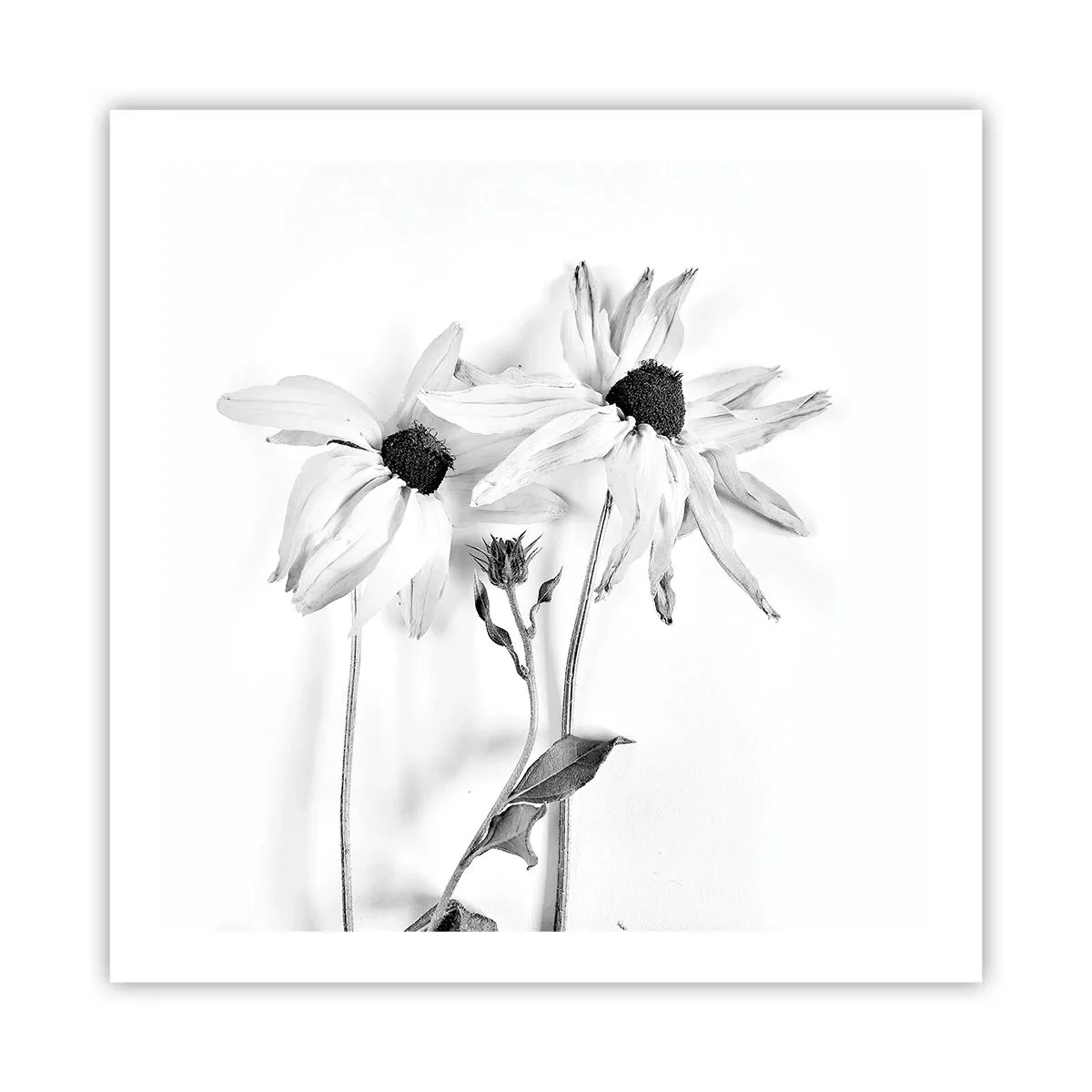 Poster - Niemand will allein sein - 60x60 cm