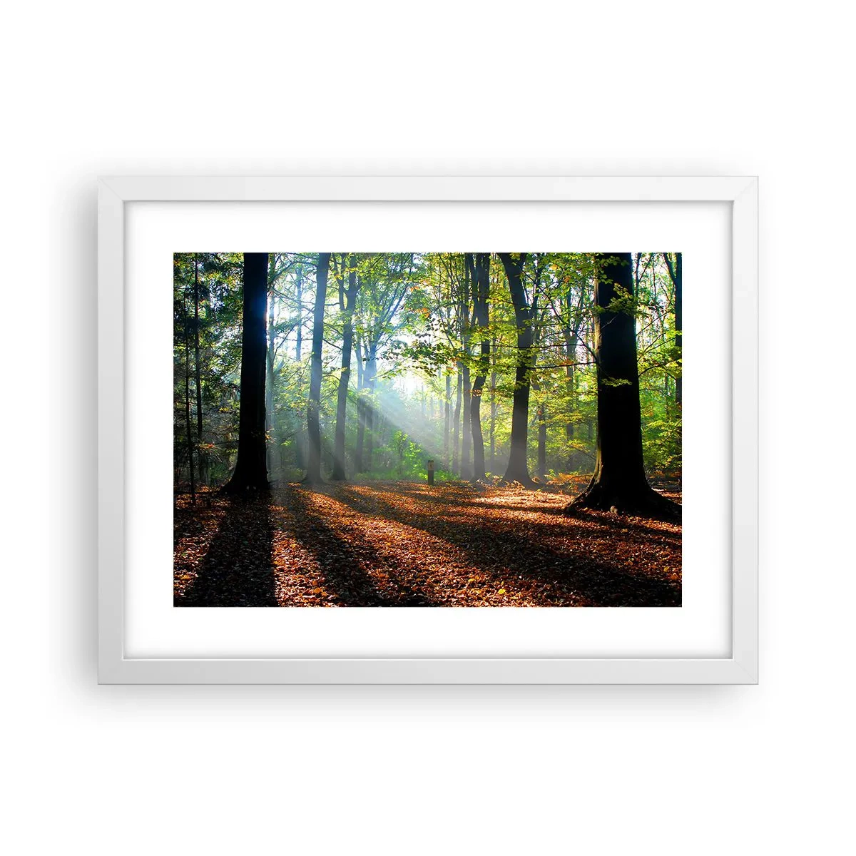 Poster in einem weißen Rahmen - Licht und Schatten - 40x30 cm