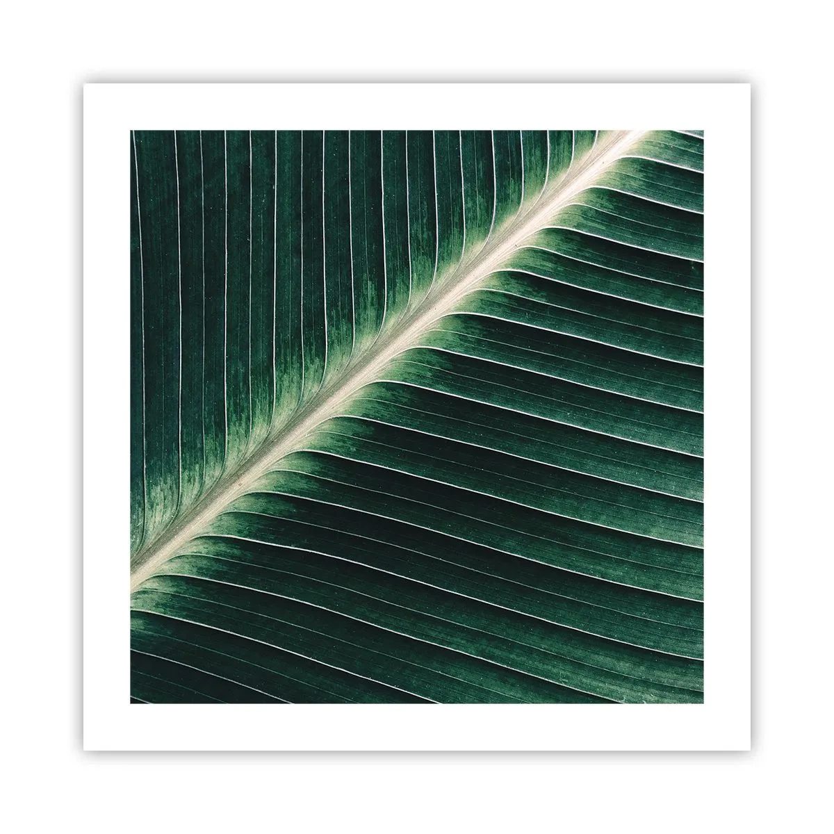 Poster - Rhythmus der Natur - 50x50 cm