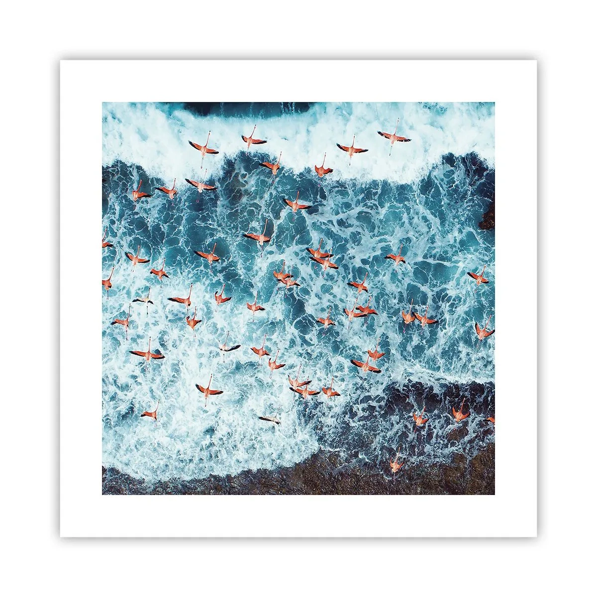 Poster - Die Küstenparade - 40x40 cm