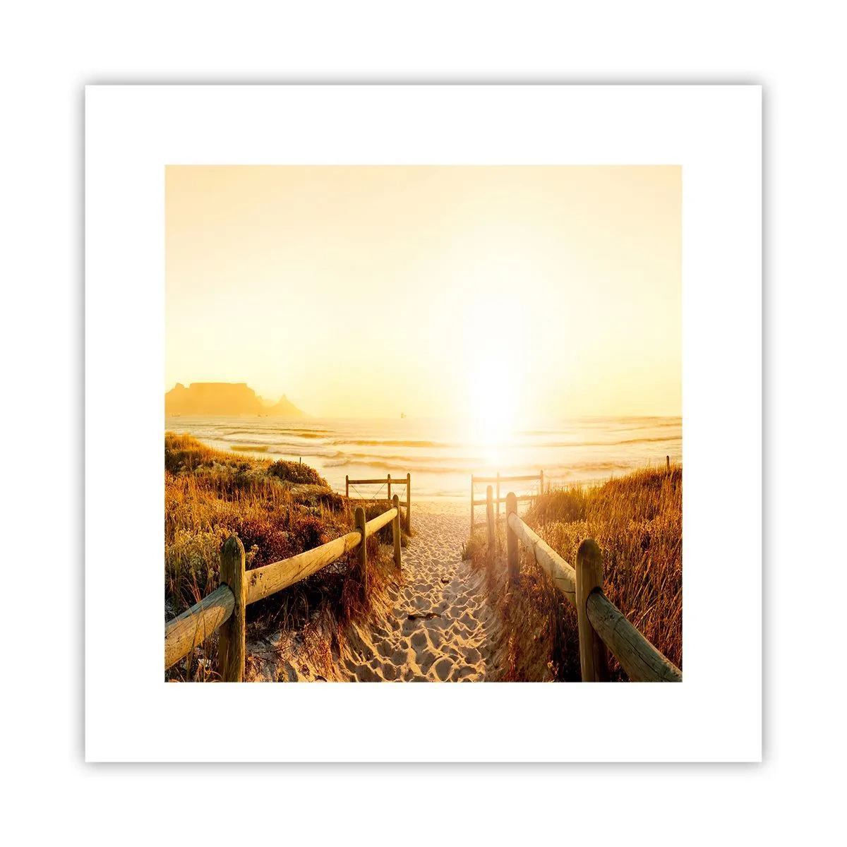 Poster - Über die Düne, der Sonne entgegen - 30x30 cm