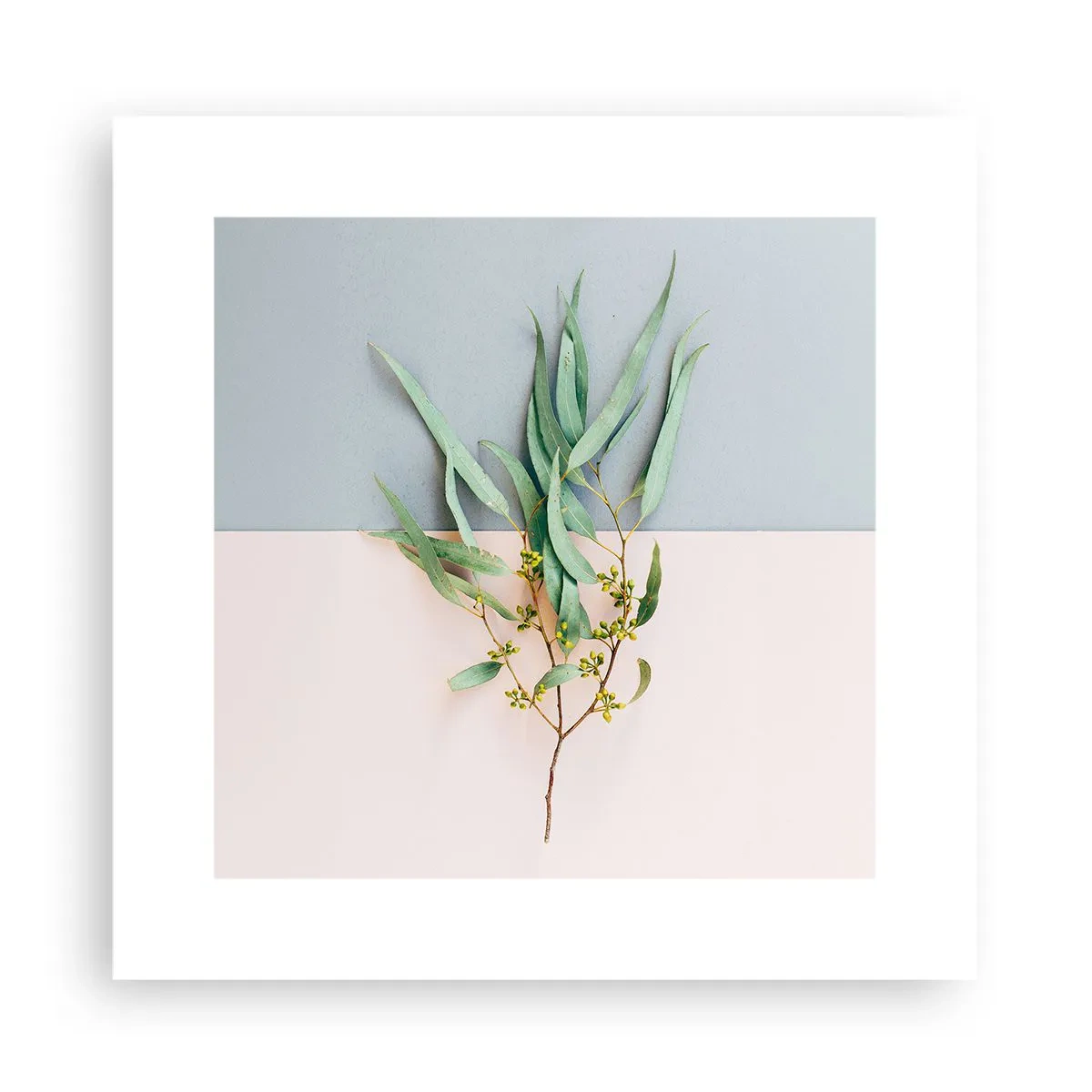 Poster - Pastellige Subtilität - 30x30 cm