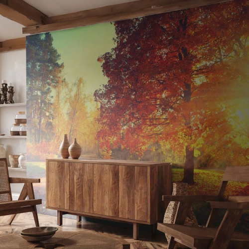 Fototapete Premium Sand - Herbstpark in den Strahlen der untergehenden Sonne - 100x70cm - Unhöflich ist schön - Moderne Wanddekoration für Wohnzimmer und Schlafzimmer ARTTOR