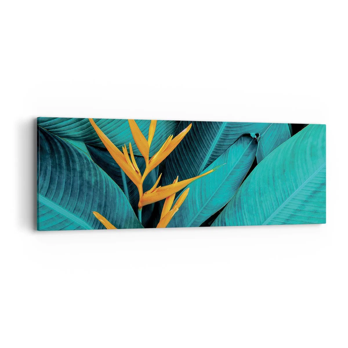 Bild auf Leinwand - Leinwandbild - Eden-Blume - 90x30 cm