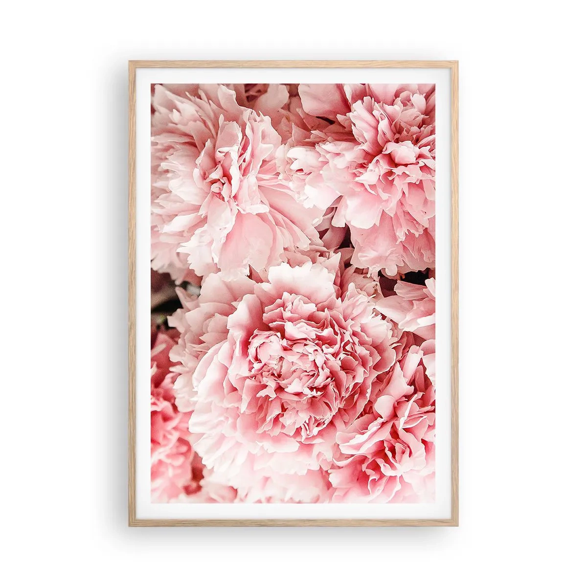 Poster in einem Rahmen aus heller Eiche - Rosa Traum - 70x100 cm