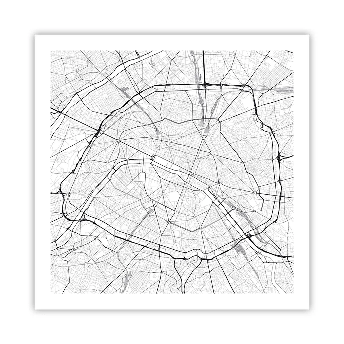 Poster - Pariser Blume - 60x60 cm