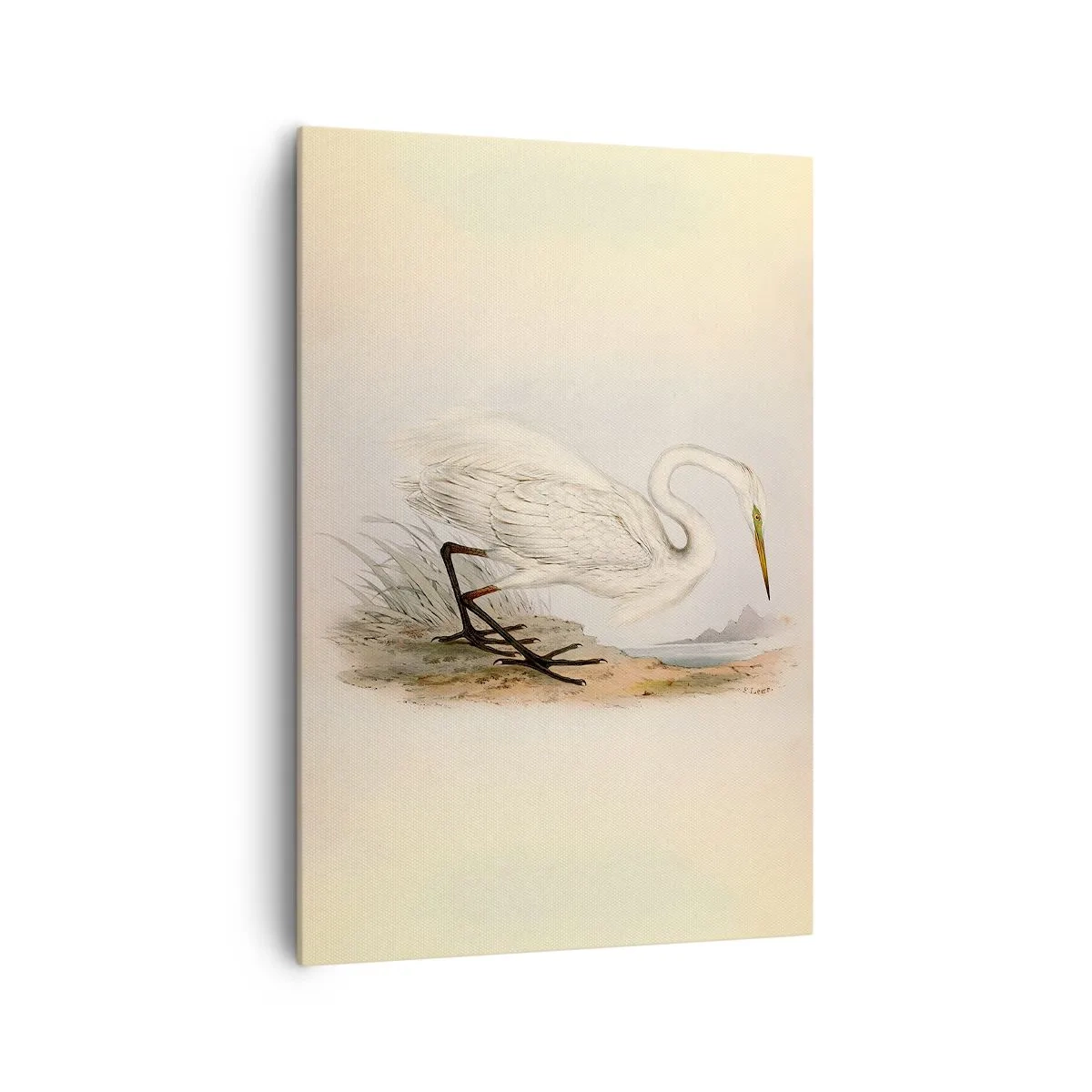 Bild auf Leinwand - Leinwandbild - Zeichnung eines weißen Reihers vor einem natürlichen Landschaftshintergrund - 70x100cm - Dame auf den Binsen - Moderne Wanddekoration für Wohnzimmer und Schlafzimmer ARTTOR