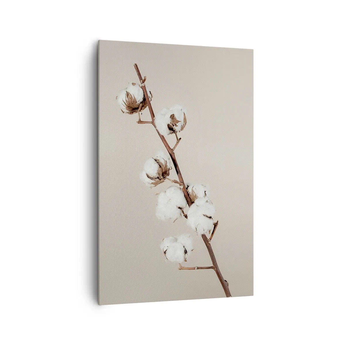 Bild auf Leinwand - Leinwandbild - Ein Zweig Baumwolle auf beigem Hintergrund - 80x120cm - An der Quelle der Weichheit - Moderne Wanddekoration für Wohnzimmer und Schlafzimmer ARTTOR