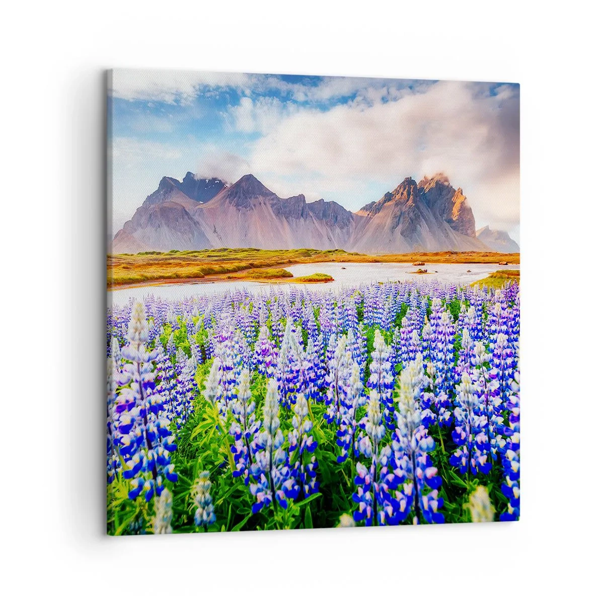 Bild auf Leinwand - Leinwandbild - Kraft und Strenge neben Sanftmut - 50x50 cm