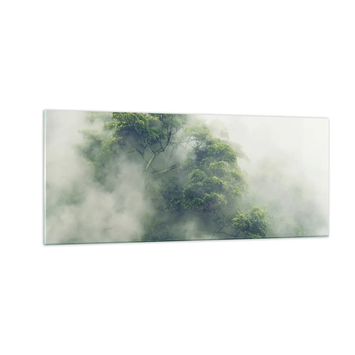 Glasbild - Bild auf glas - In Nebel gehüllt - 100x40 cm