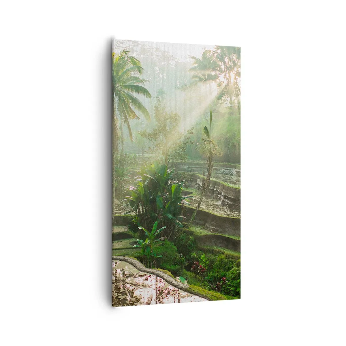 Bild auf Leinwand - Leinwandbild - In der Sonne aufwachsen - 65x120 cm