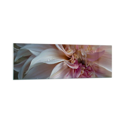 Glasbild - Bild auf glas - Nahaufnahme von zarten rosa Blütenblättern mit Wassertropfen - 160x50cm - Blühende Frische - Moderne Wanddekoration für Wohnzimmer und Schlafzimmer ARTTOR