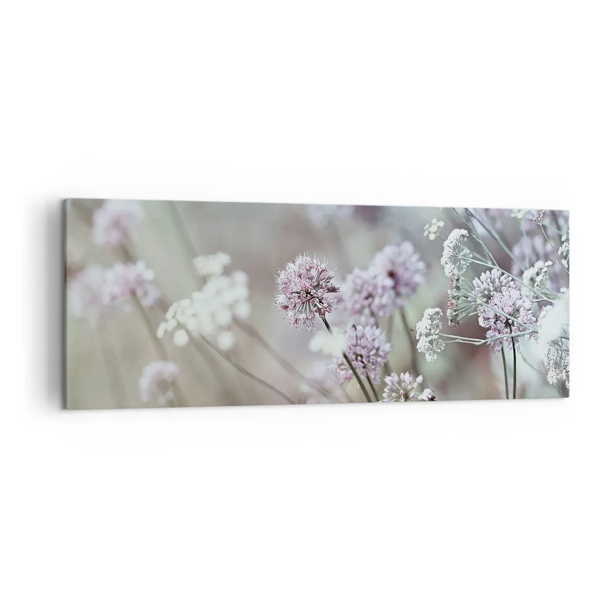 Bild auf Leinwand - Leinwandbild - Zarte Blüten in Pastelltönen - 140x50cm - Süße filigrane Kräuter - Moderne Wanddekoration für Wohnzimmer und Schlafzimmer ARTTOR