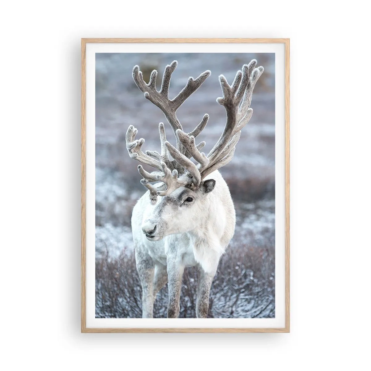 Poster in einem Rahmen aus heller Eiche - Porträt in der Sonne - 70x100 cm