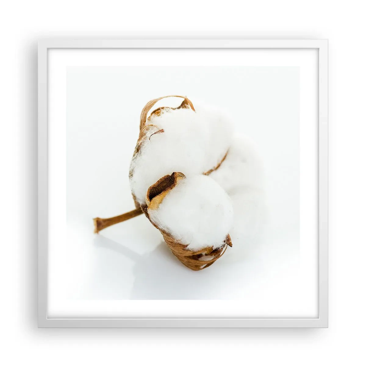 Poster in einem weißen Rahmen - Von Natur aus weich - 50x50 cm