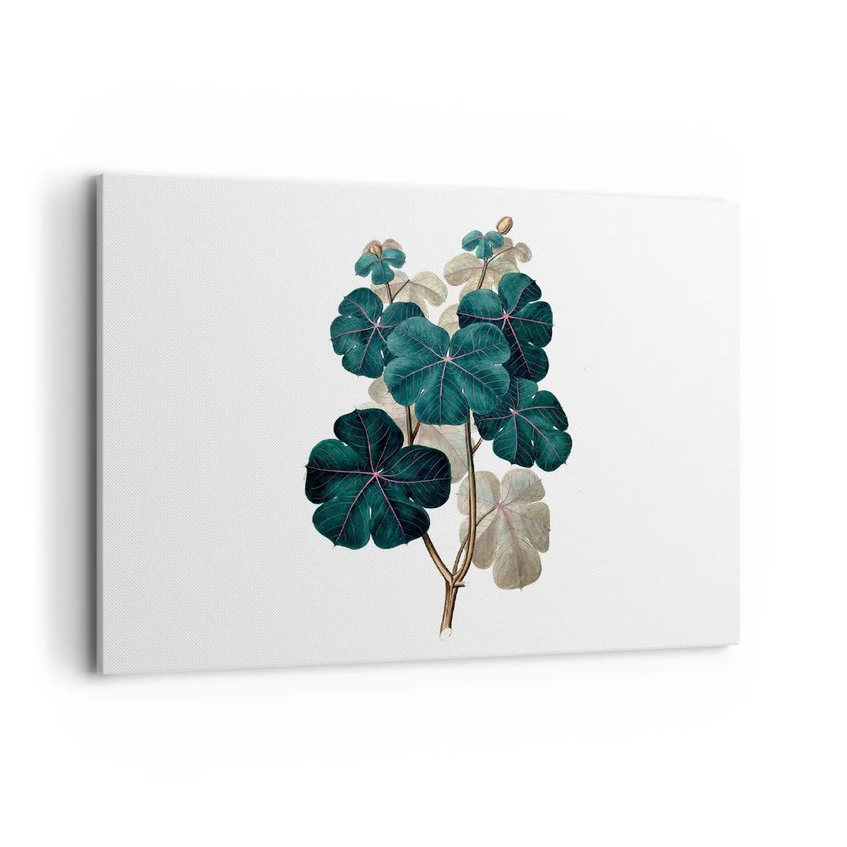 Bild auf Leinwand - Leinwandbild - Botanische Illustration mit Blättern in Grün- und Beigetönen - 100x70cm - Aus dem alten Herbarium - Moderne Wanddekoration für Wohnzimmer und Schlafzimmer ARTTOR