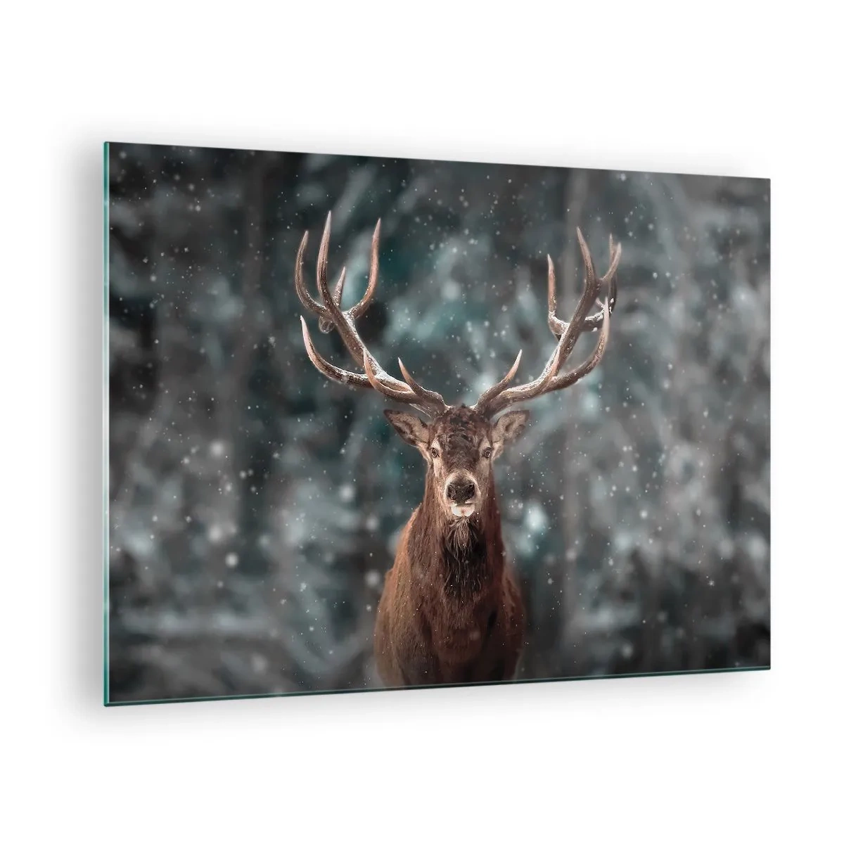 Glasbild - Bild auf glas - Ein stolzer Hirsch in einem Winterwald inmitten fallenden Schnees - 70x50cm - Gekrönter König des Waldes - Moderne Wanddekoration für Wohnzimmer und Schlafzimmer ARTTOR