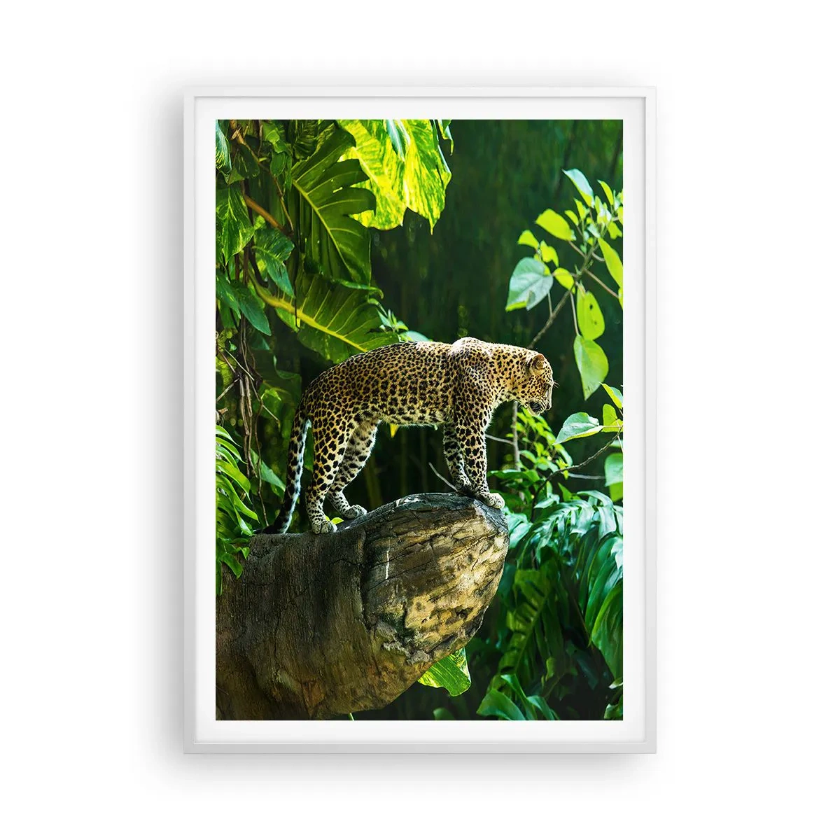 Poster in einem weißen Rahmen - Auf die Jagd? - 70x100 cm