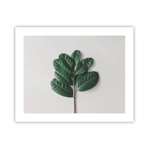 Poster - Eine Zeichnung purer Natur - 50x40 cm