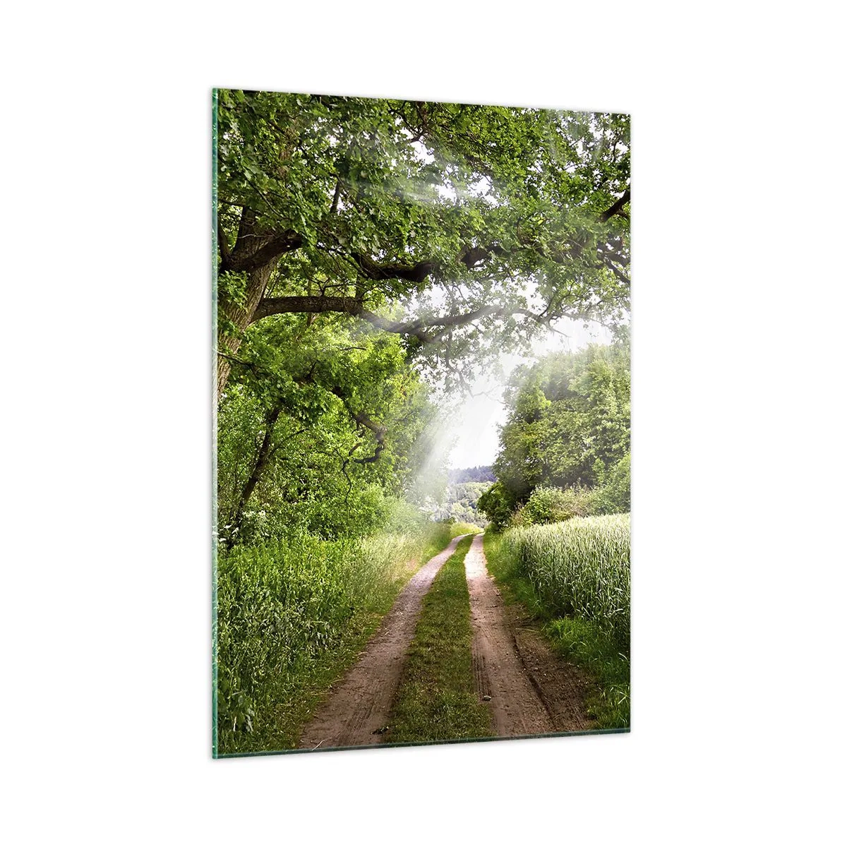 Glasbild - Bild auf glas - Ein Waldweg, umgeben von Grün in den Strahlen der Sonne - 50x70cm - Et in Arcadia ego - Moderne Wanddekoration für Wohnzimmer und Schlafzimmer ARTTOR