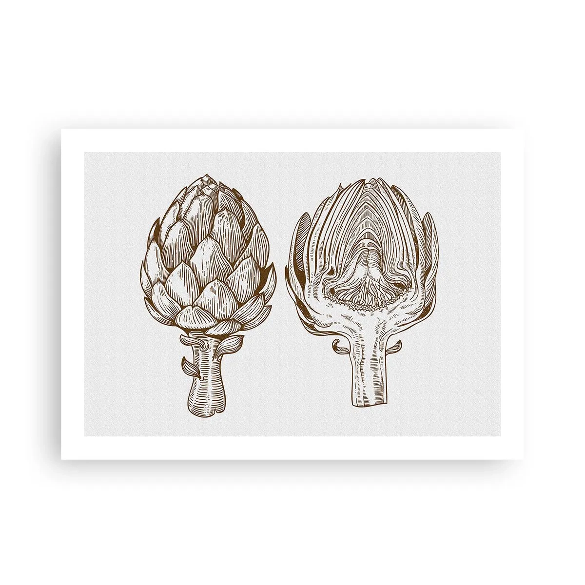 Poster - Anatomie-Lektion - 70x50 cm