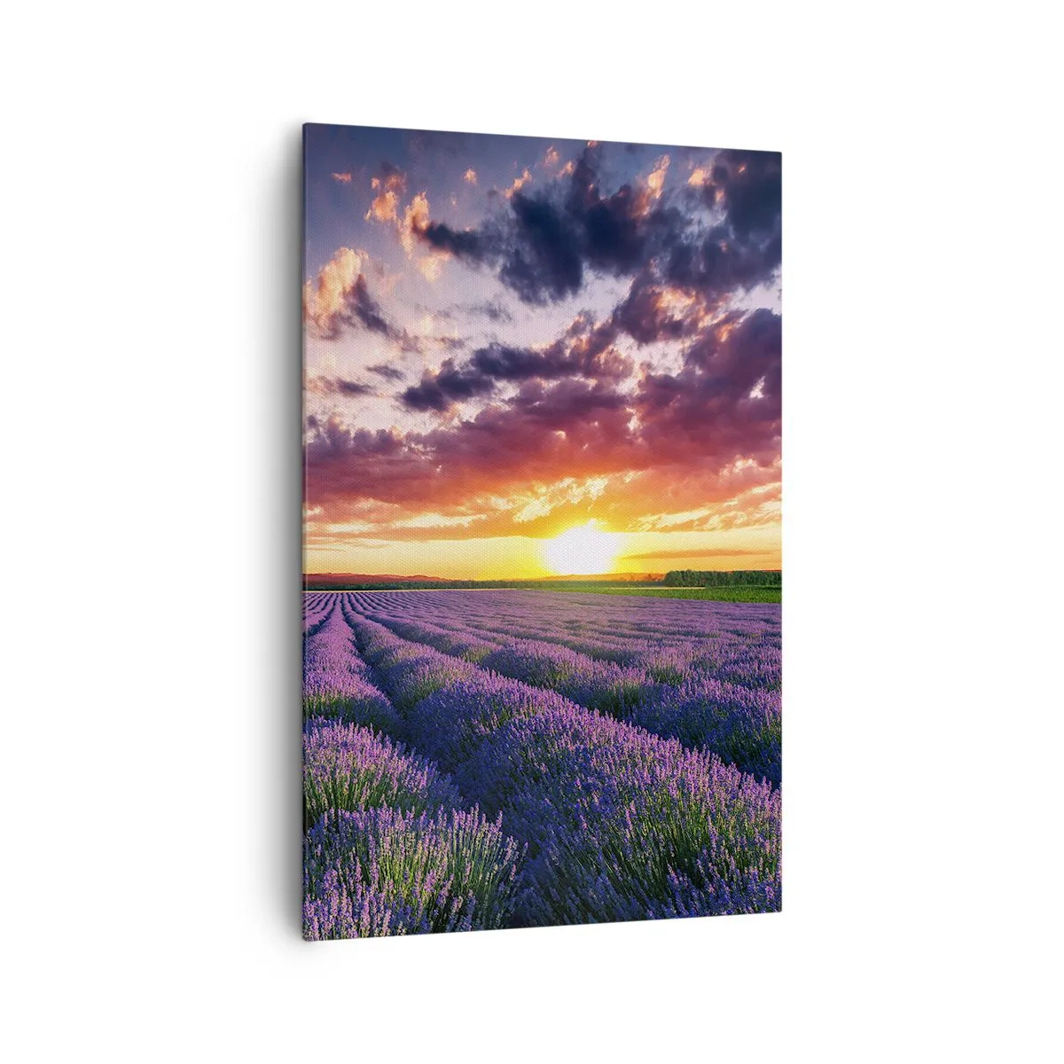 Bild auf Leinwand - Leinwandbild - Ein Lavendelfeld bei Sonnenuntergang mit einem farbenfrohen Himmel - 80x120cm - Lavendel Welt - Moderne Wanddekoration für Wohnzimmer und Schlafzimmer ARTTOR