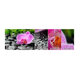 Fototapeten Muster Premium Sand - Wie ein offenes Herz - Blumen, Orchidee, Orchidee - 100x30 cm