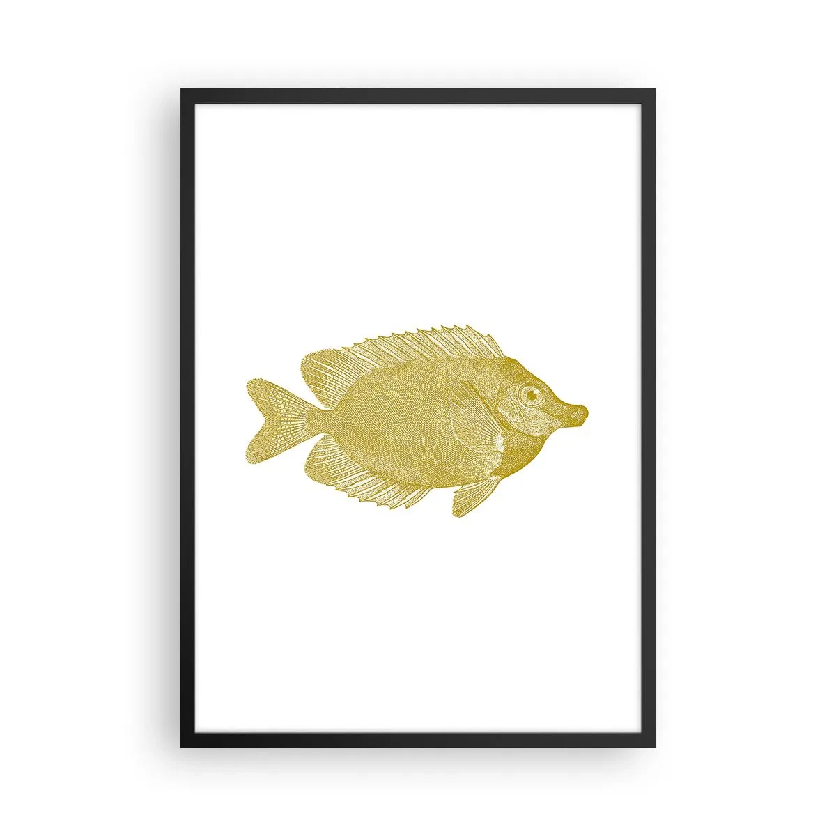 Poster in einem schwarzem Rahmen - Vintage Goldfisch auf weißem Hintergrund - 50x70cm - Fisch und das war’s - Moderne Wanddekoration für Wohnzimmer und Schlafzimmer ARTTOR