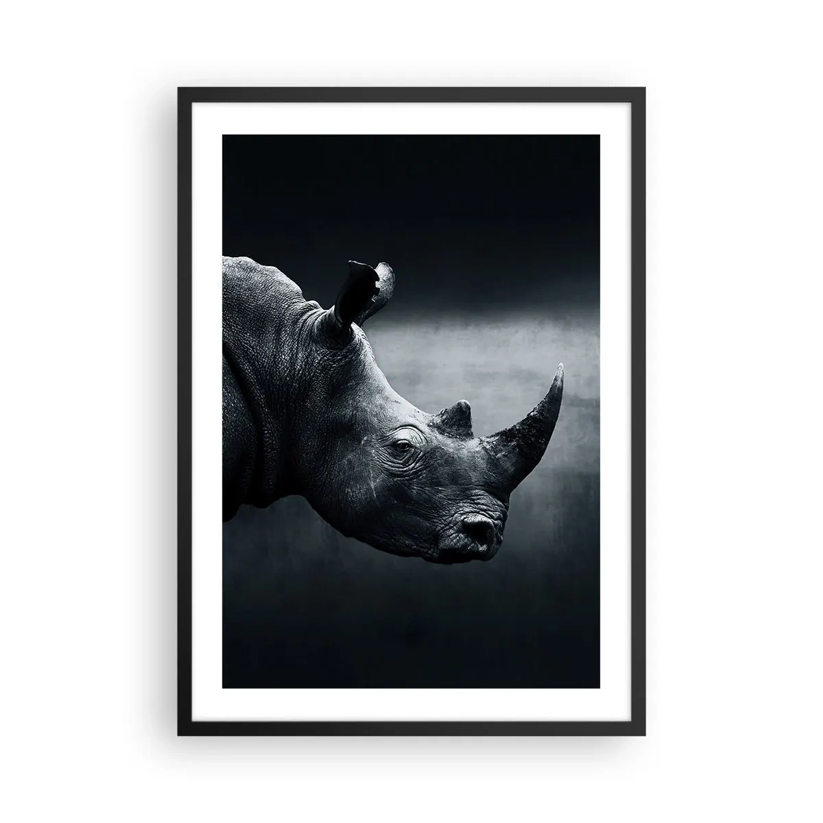 Poster in einem schwarzem Rahmen - Schwarz-Weiß-Porträt eines Nashorns vor dunklem Hintergrund - 50x70cm - Richtiges Profil - Moderne Wanddekoration für Wohnzimmer und Schlafzimmer ARTTOR