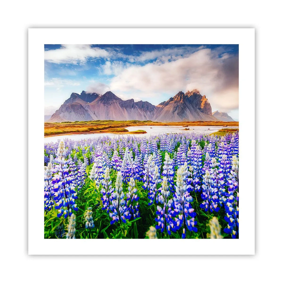 Poster - Kraft und Strenge neben Sanftmut - 50x50 cm