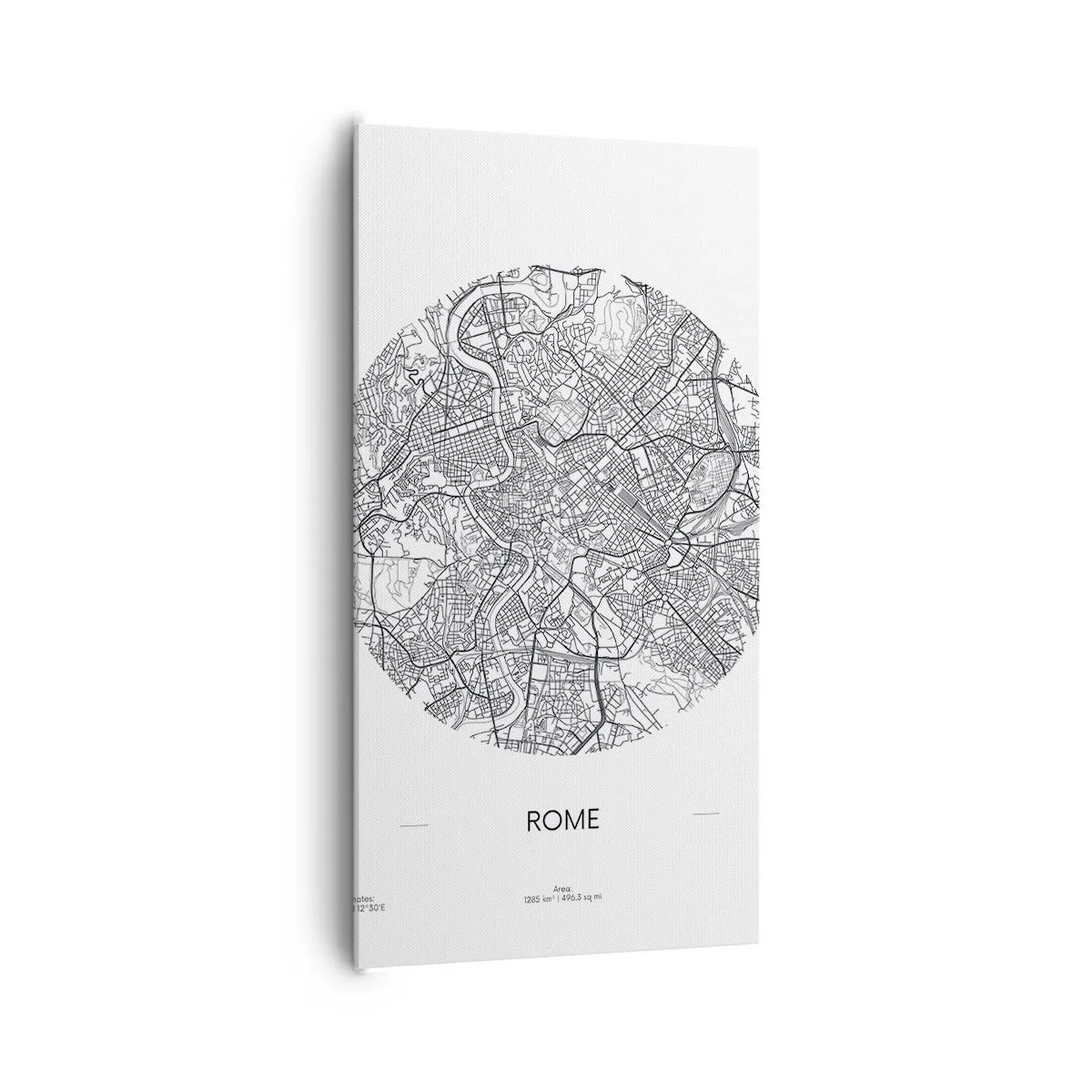 Bild auf Leinwand - Leinwandbild - Anatomie von Rom - 65x120 cm