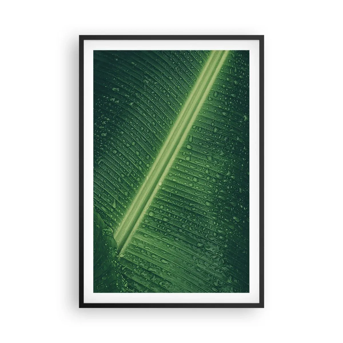 Poster in einem schwarzem Rahmen - Die Struktur des Grüns - 61x91 cm