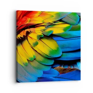 Bild auf Leinwand - Leinwandbild - Paradiesvogel - 30x30 cm