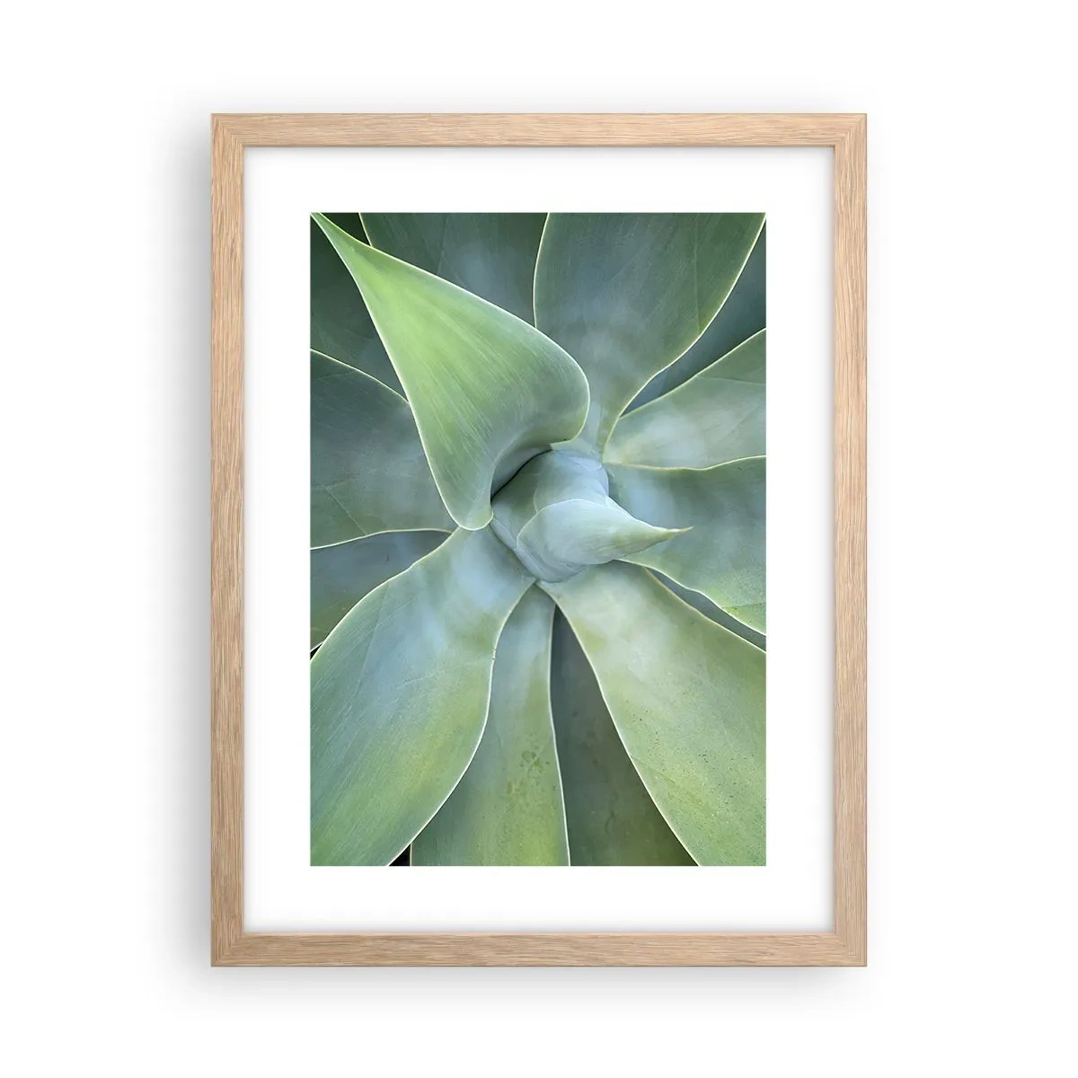 Poster in einem Rahmen aus heller Eiche - Geburt des Grüns - 30x40 cm