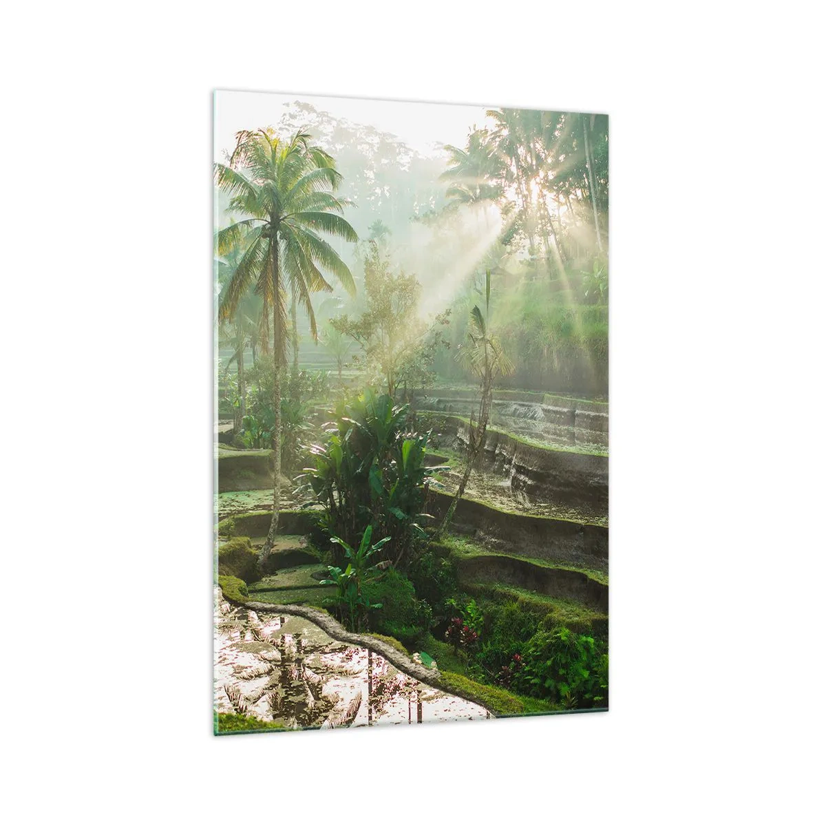 Glasbild - Bild auf glas - Reisterrassen mit Palmen in den Sonnenstrahlen - 70x100cm - In der Sonne aufwachsen - Moderne Wanddekoration für Wohnzimmer und Schlafzimmer ARTTOR