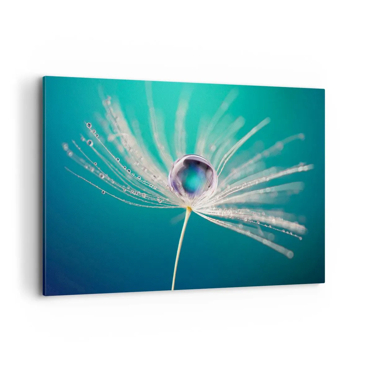 Bild auf Leinwand - Leinwandbild - Makroaufnahme eines Wassertropfens auf einem zarten Löwenzahnsamen - 120x80cm - Mystischer Moment - Moderne Wanddekoration für Wohnzimmer und Schlafzimmer ARTTOR