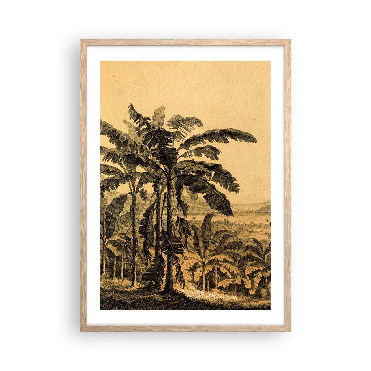 Poster in einem Rahmen aus heller Eiche - in einem kolonialen Klima - 50x70 cm