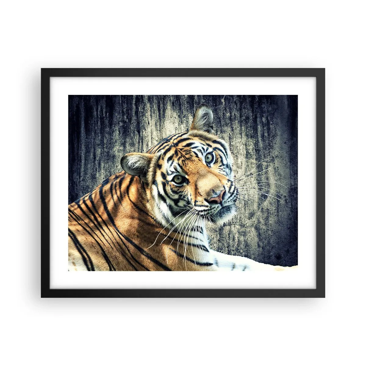 Poster in einem schwarzem Rahmen - Portrait in Lichtstrahlen - 50x40 cm