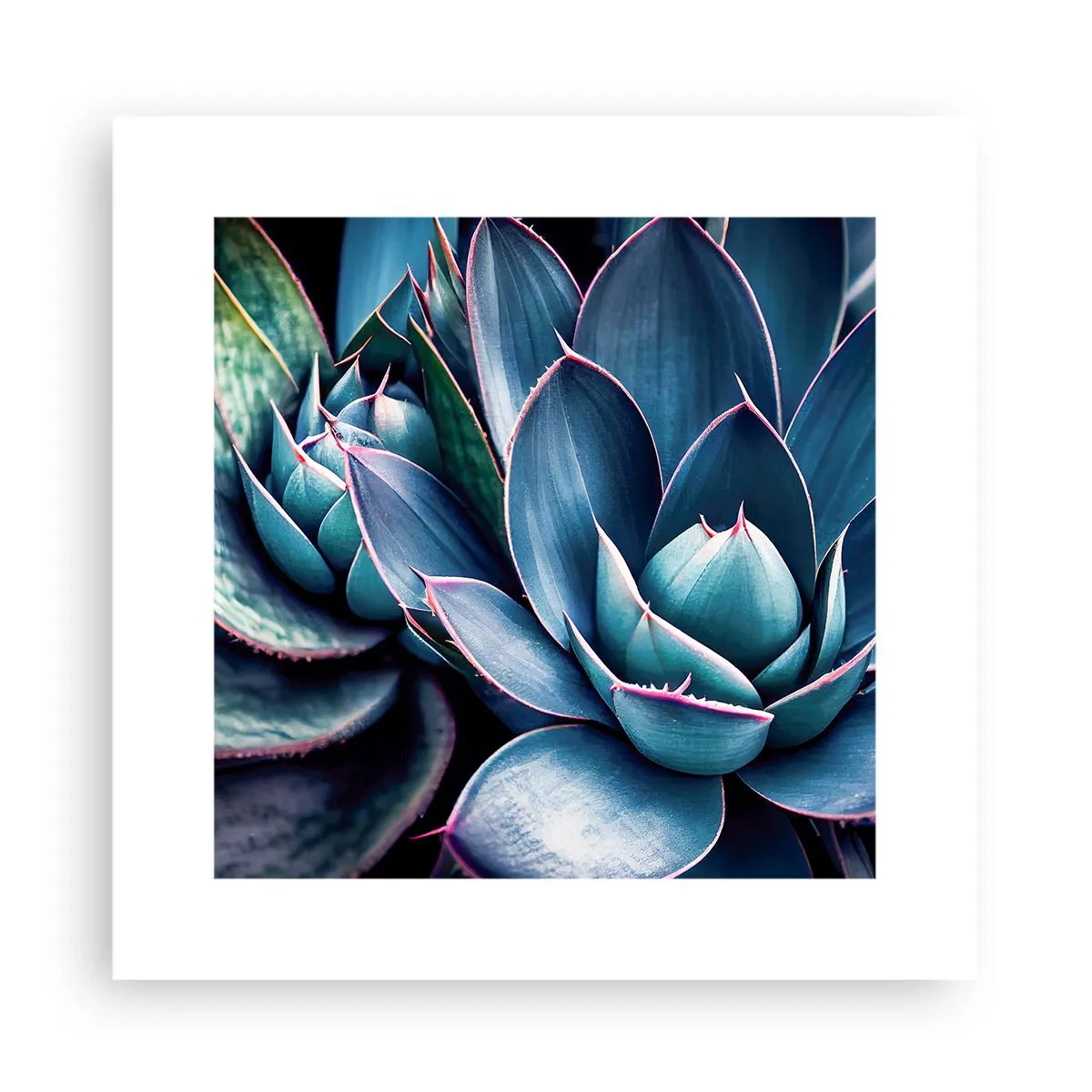 Poster - Lebenskraft - 30x30 cm