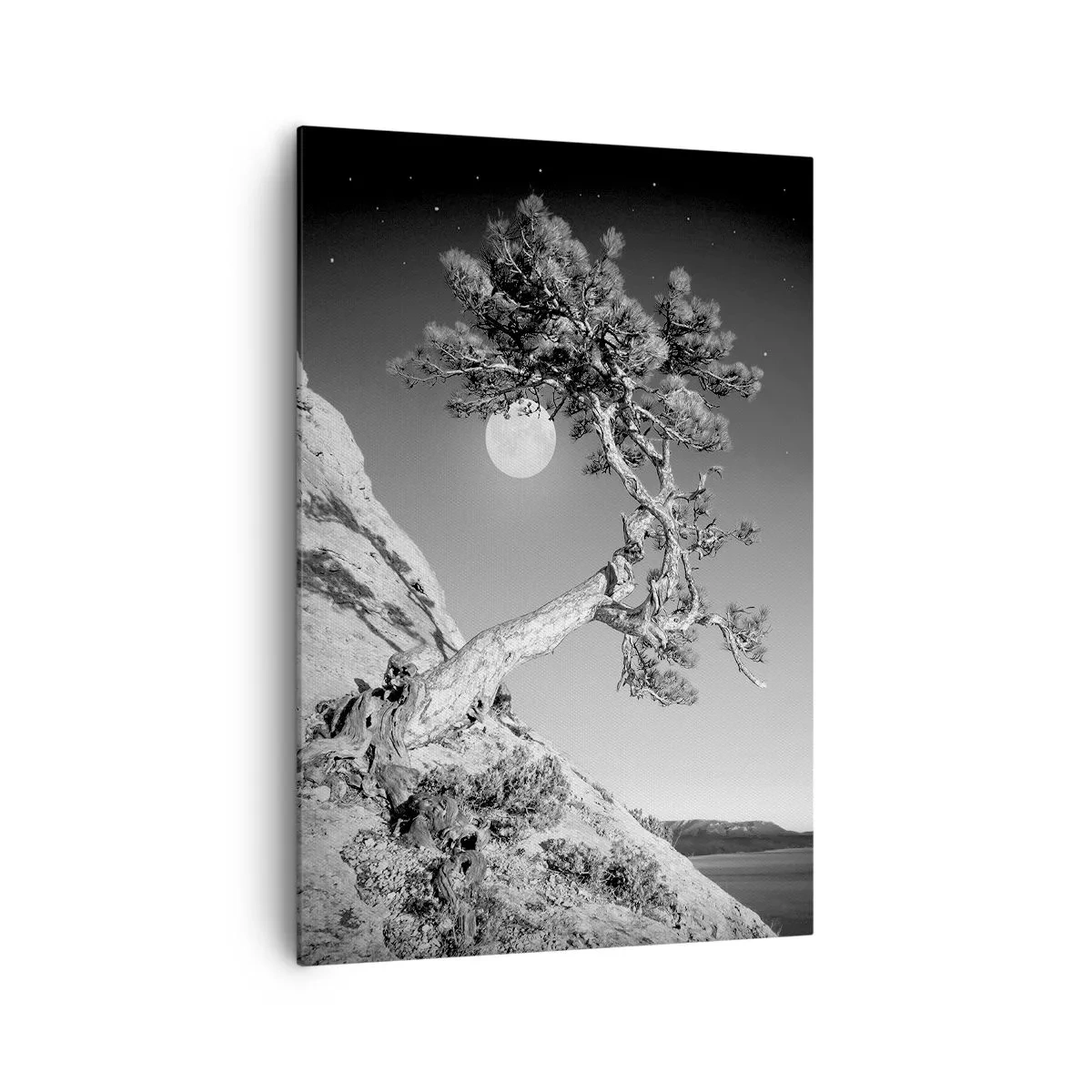 Bild auf Leinwand - Leinwandbild - Schwarz-weißer Baum auf einer Klippe mit dem Mond im Hintergrund - 70x100cm - Siegreiche Kämpferin - Moderne Wanddekoration für Wohnzimmer und Schlafzimmer ARTTOR