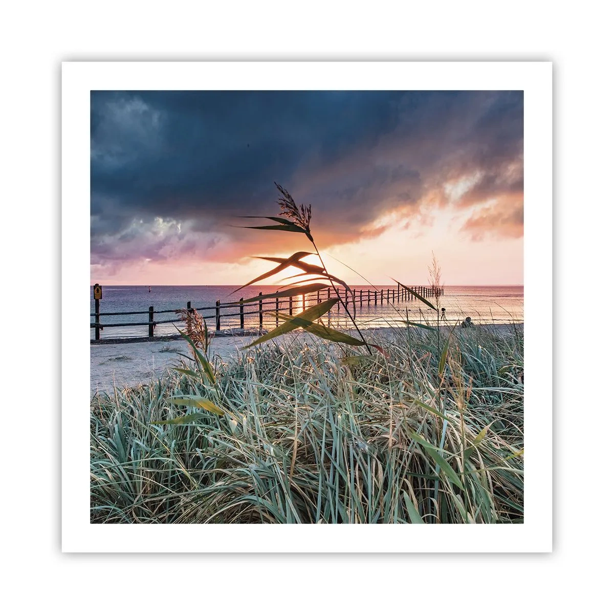 Poster - Es vergeht nicht mit dem Wind - 60x60 cm