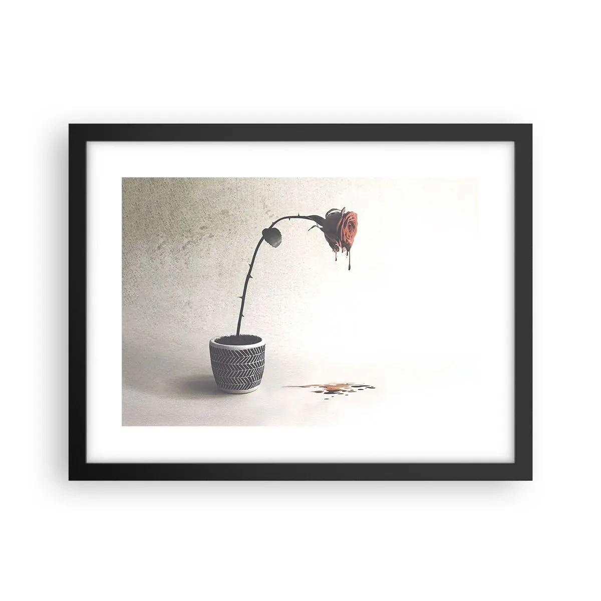 Poster in einem schwarzem Rahmen - Rosa dolorosa - 40x30 cm