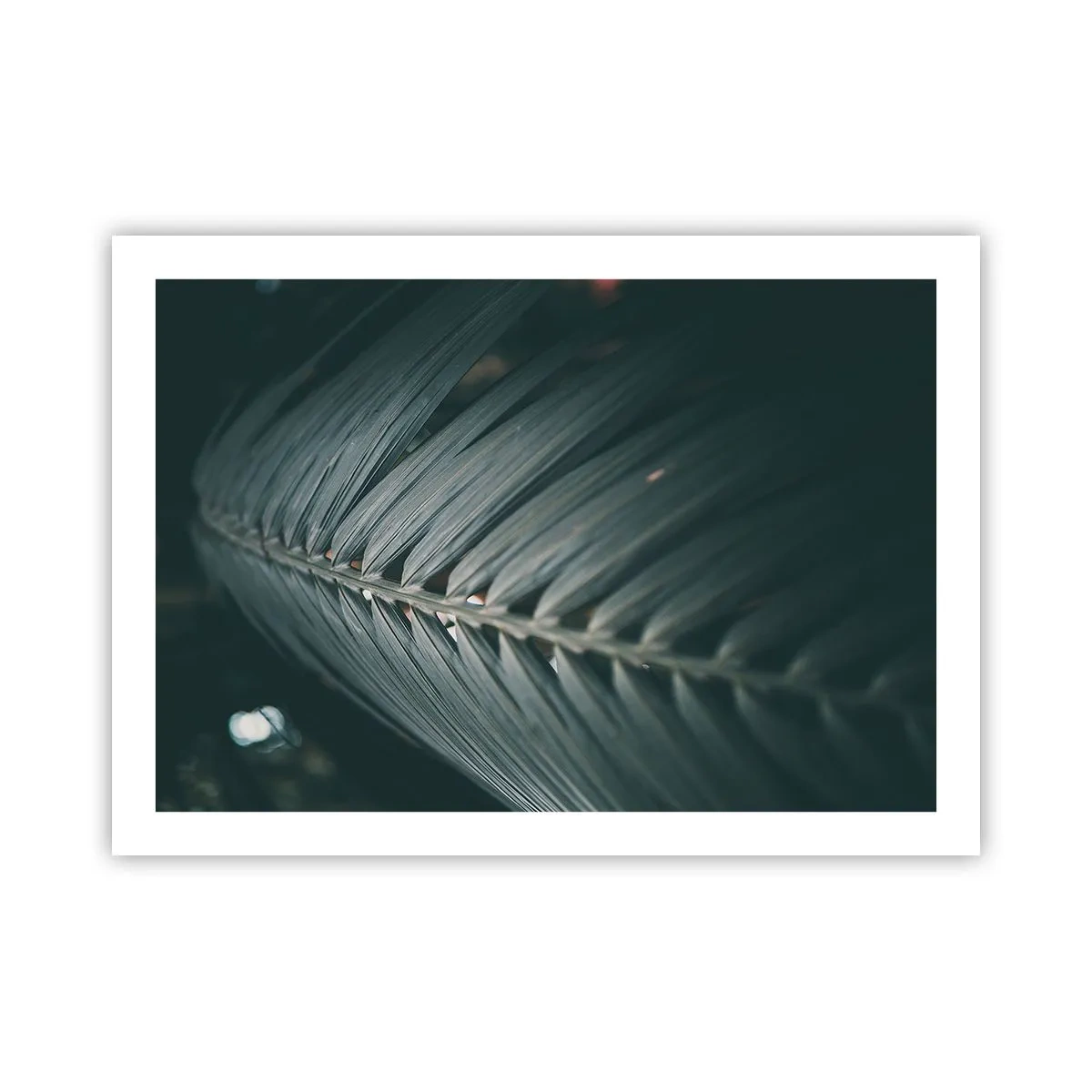 Poster - Die Präzision der Natur - 70x50 cm